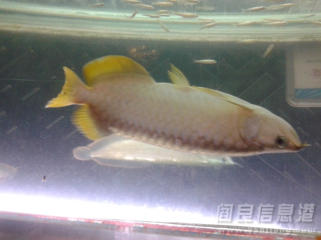 20131020_135709.jpg
