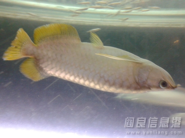 20131020_135721.jpg