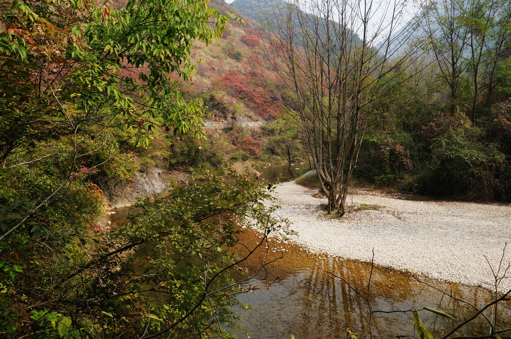 DSC04501-g-2.jpg