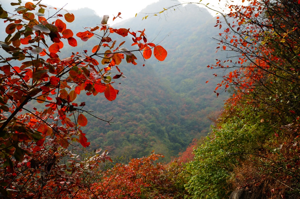 DSC04592-2.jpg