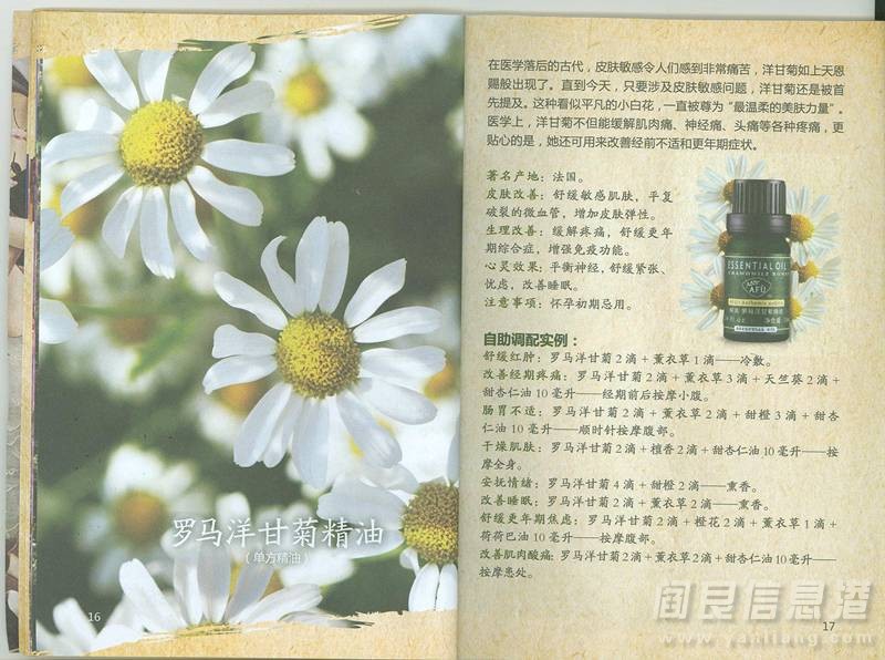 Ƭ 053.jpg