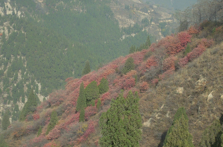 SL382756_1.jpg