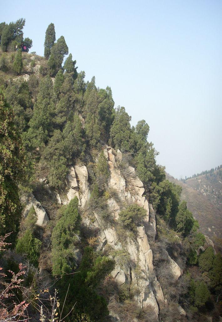 SL382760_1.jpg