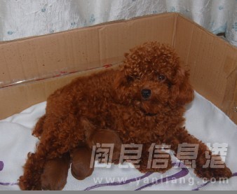 QQͼƬ20130920112737.jpg