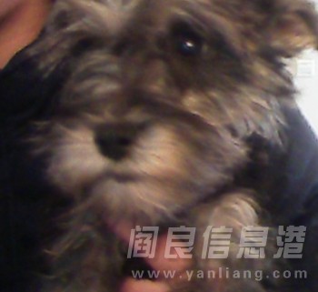 YEIM`L%_QK803BG@()TH~17.jpg