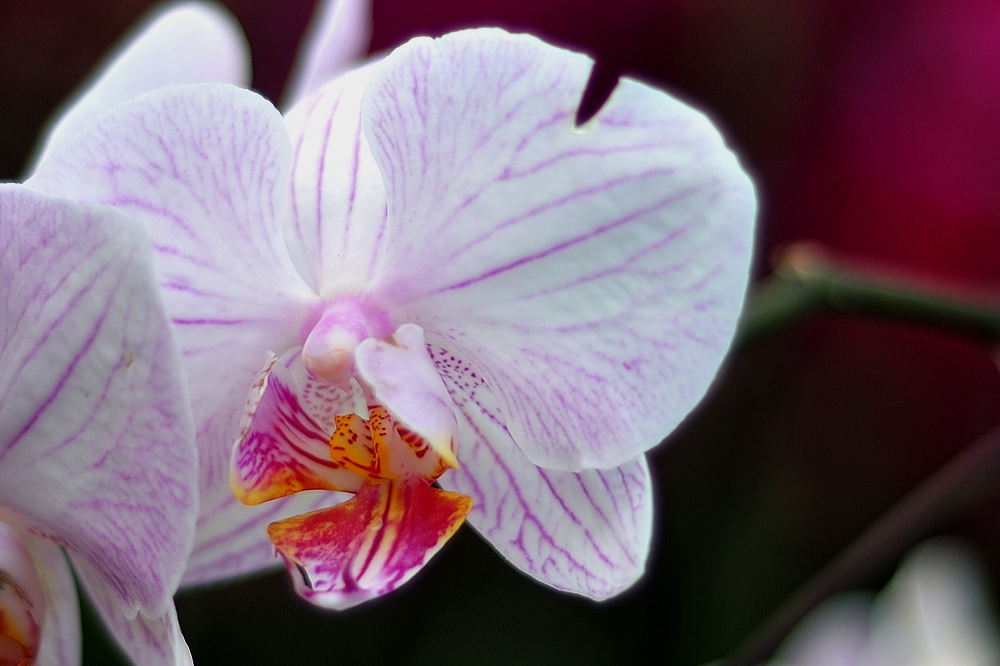 DSC_5463.jpg