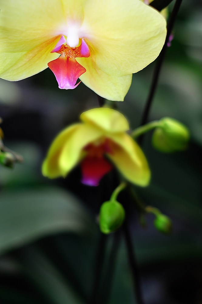 DSC_5477.jpg