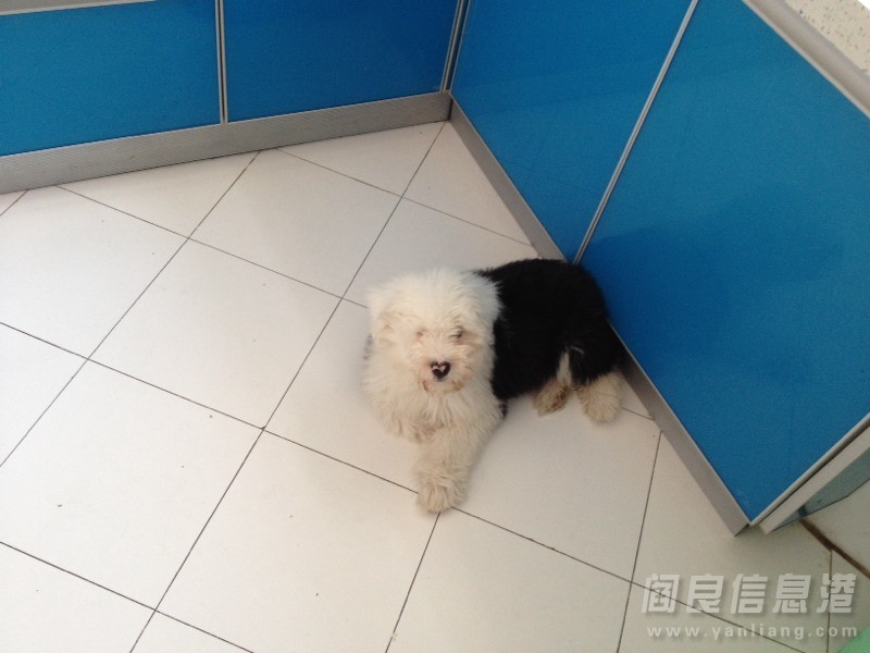 130142tw7xmwzobbm7zub1.jpg