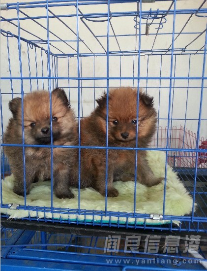 QQͼƬ20140506205508.jpg
