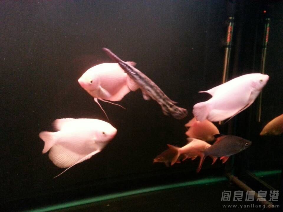 QQͼƬ20140521110334.jpg