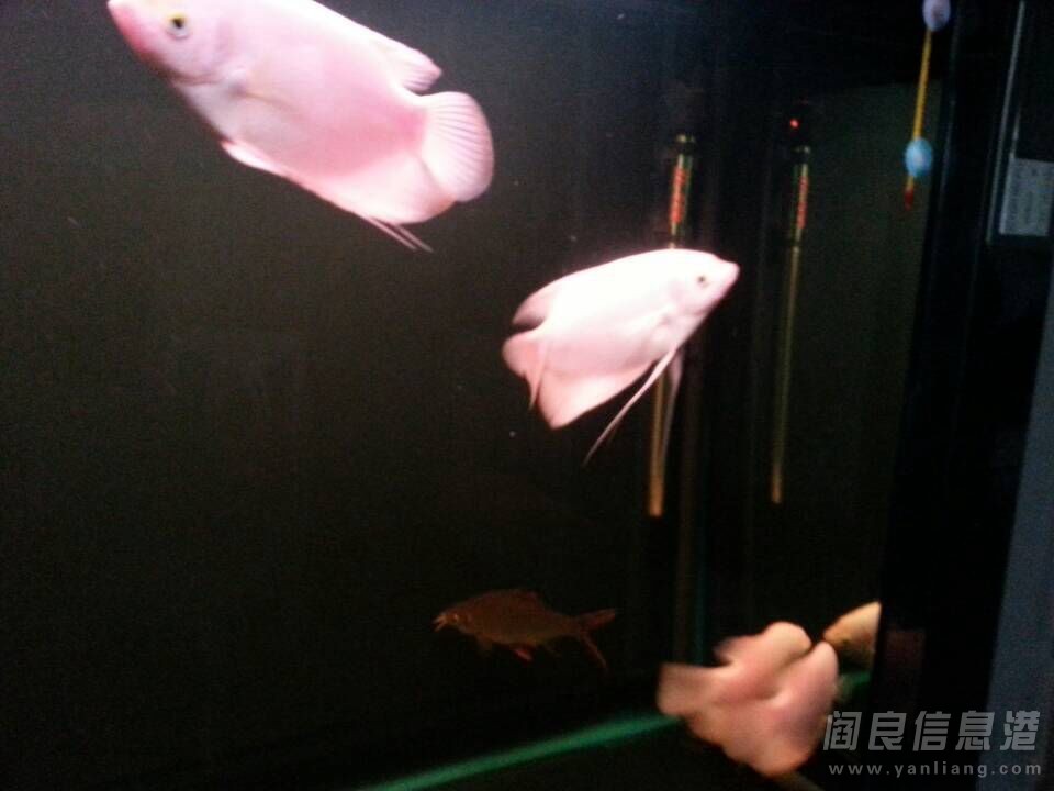 QQͼƬ20140521110351.jpg