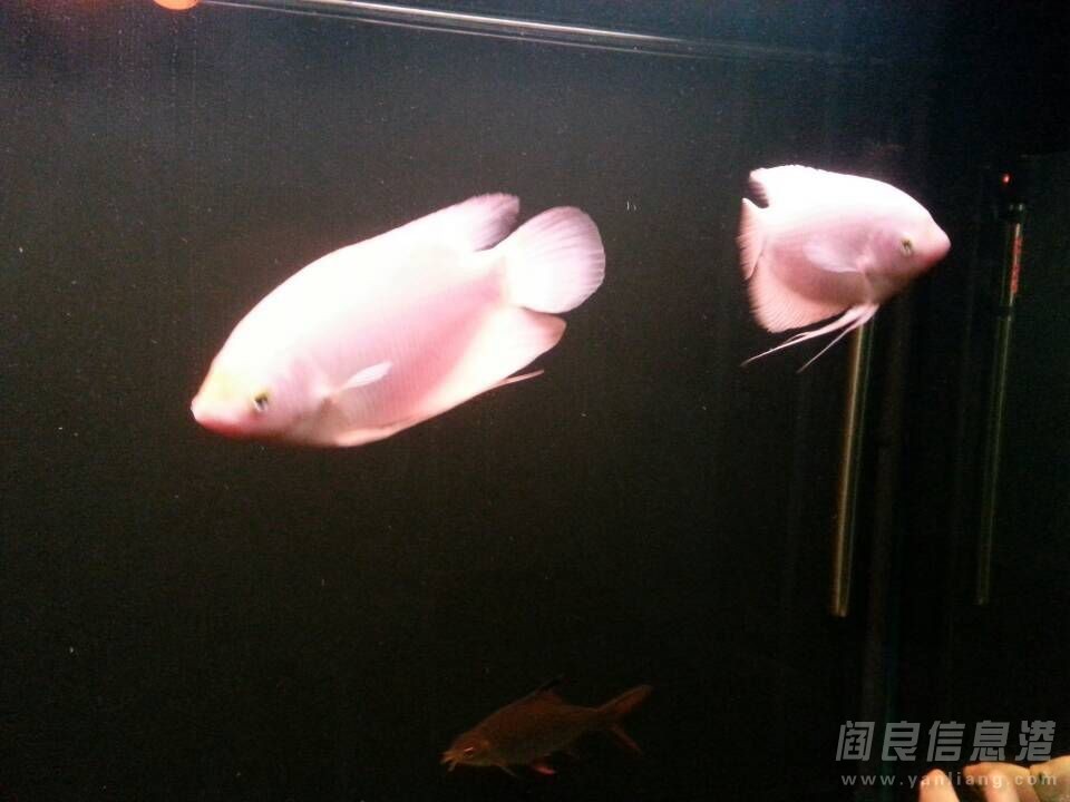 QQͼƬ20140521110358.jpg