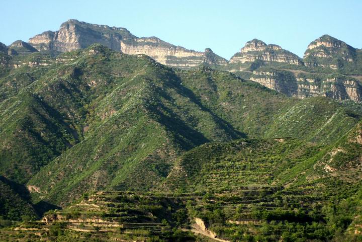 С ع DSC04749.JPG