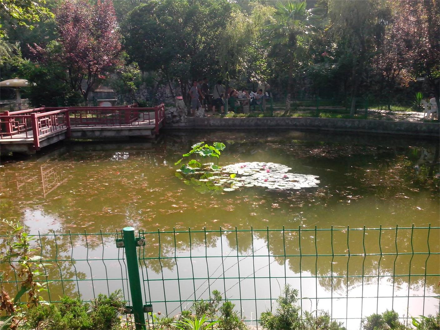 IMG_˯11.JPG