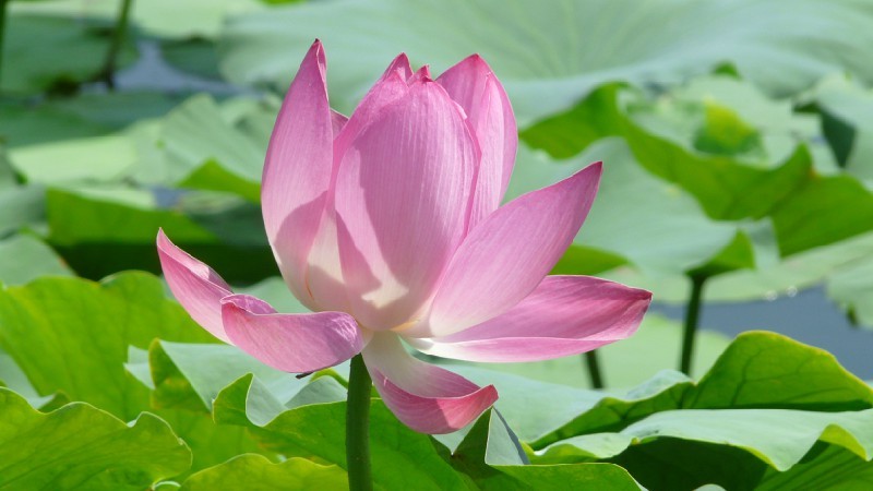 QQͼƬ20130818155446.jpg