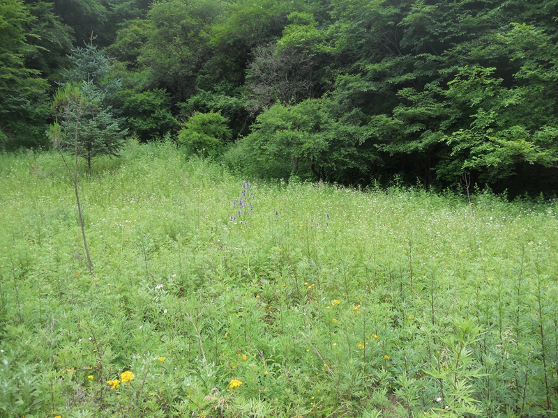 DSCN9096.JPG