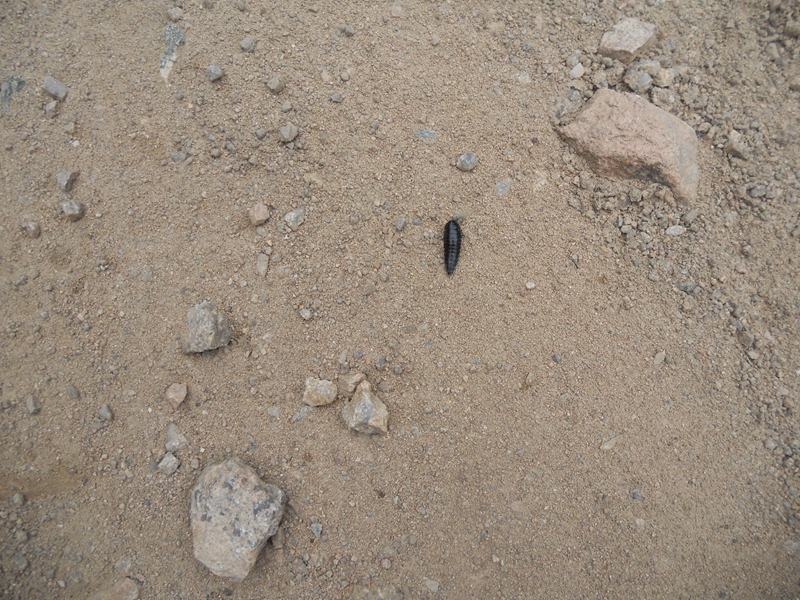 DSCN9101.JPG