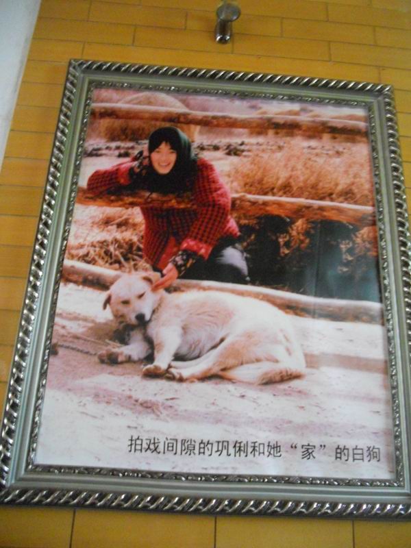 DSCN9168.JPG