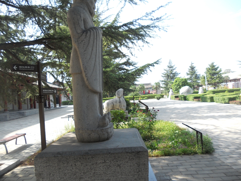 DSCN8727.JPG