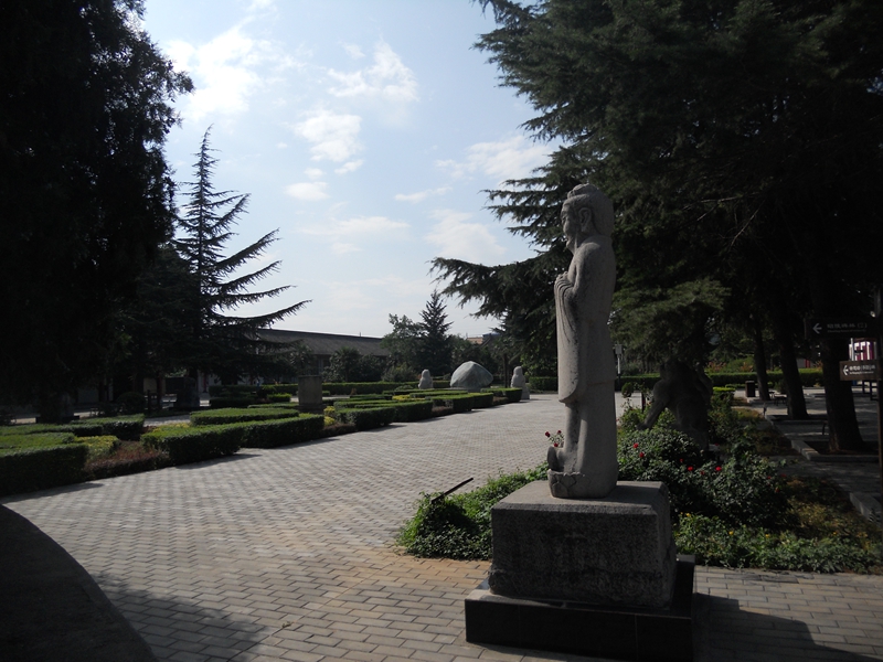 DSCN8729.JPG