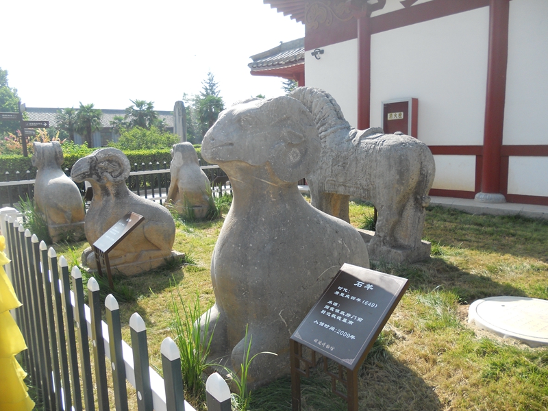 DSCN8748.JPG