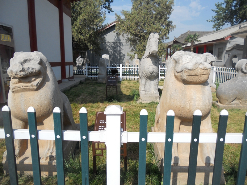 DSCN8749.JPG