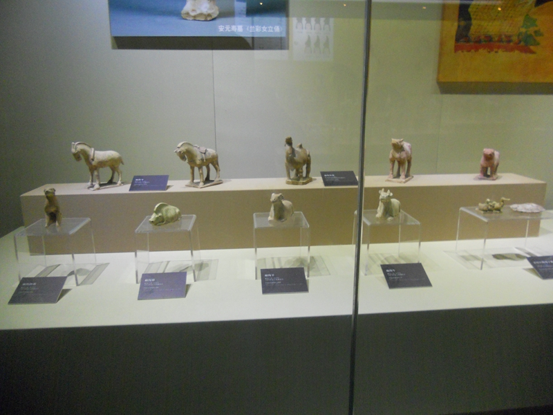 DSCN8775.JPG