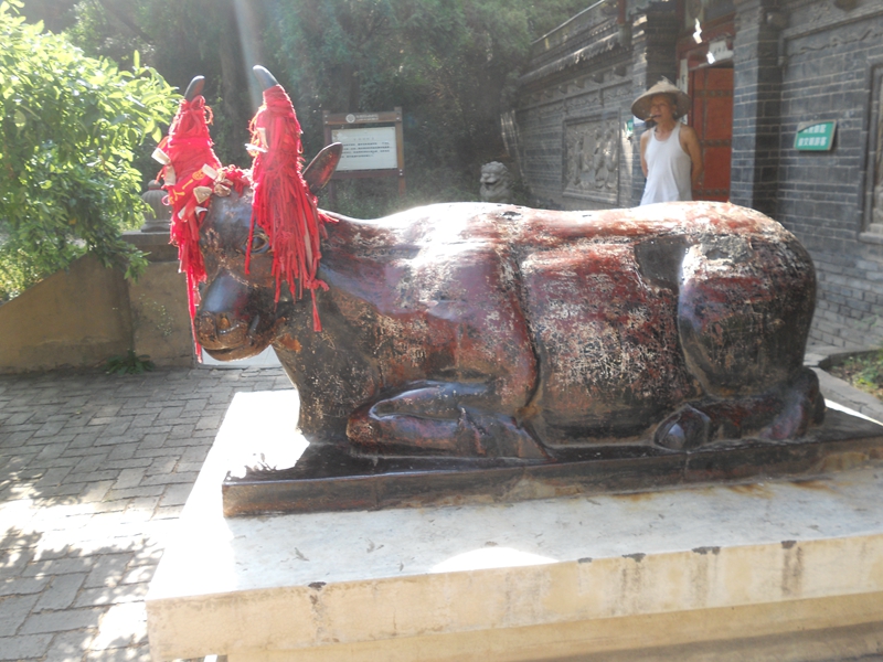 DSCN9219.JPG