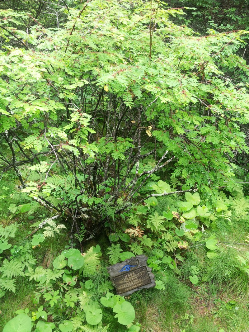 20140731_112130.jpg