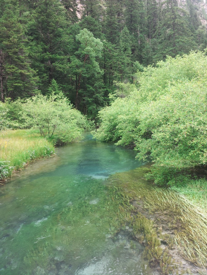 20140731_112655.jpg