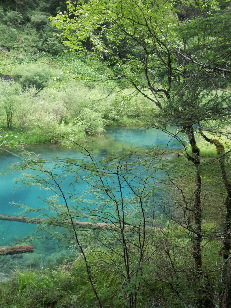 20140731_114144.jpg