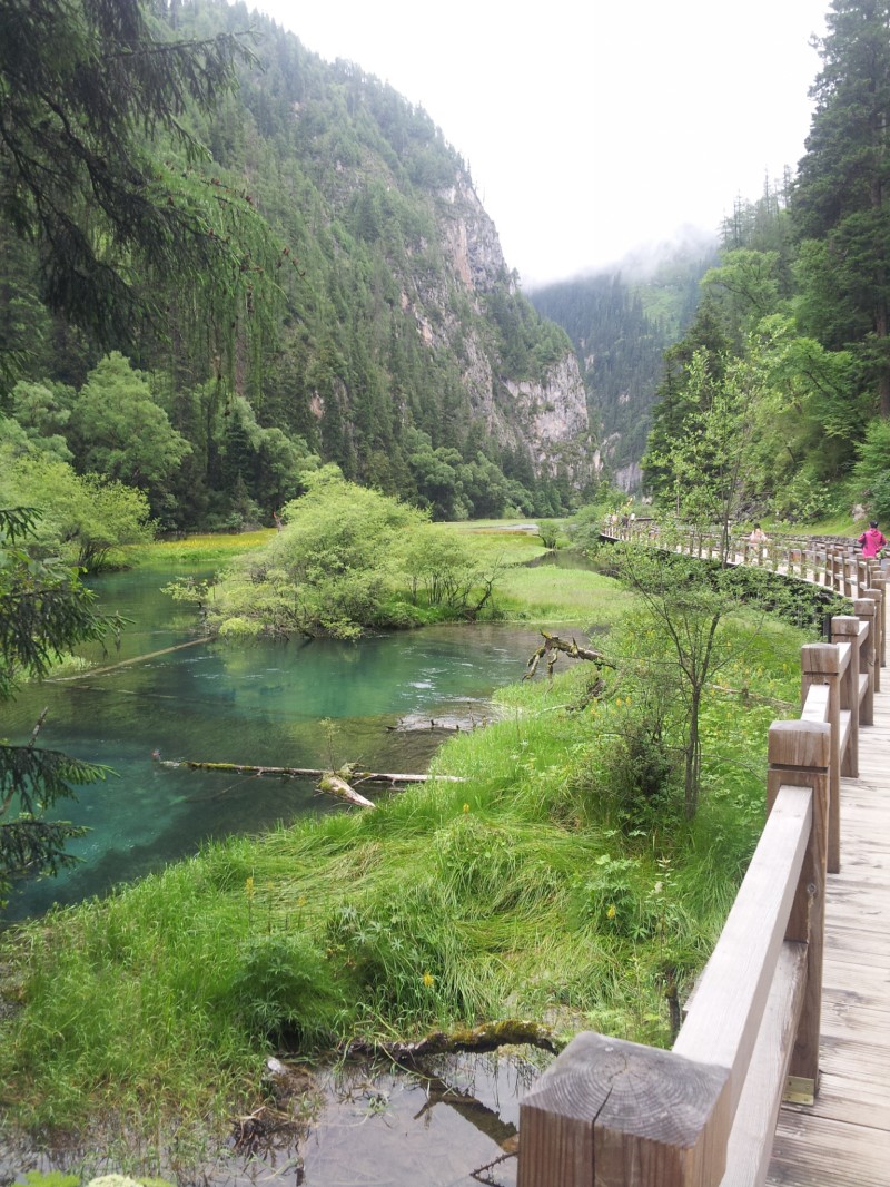 20140731_114838.jpg