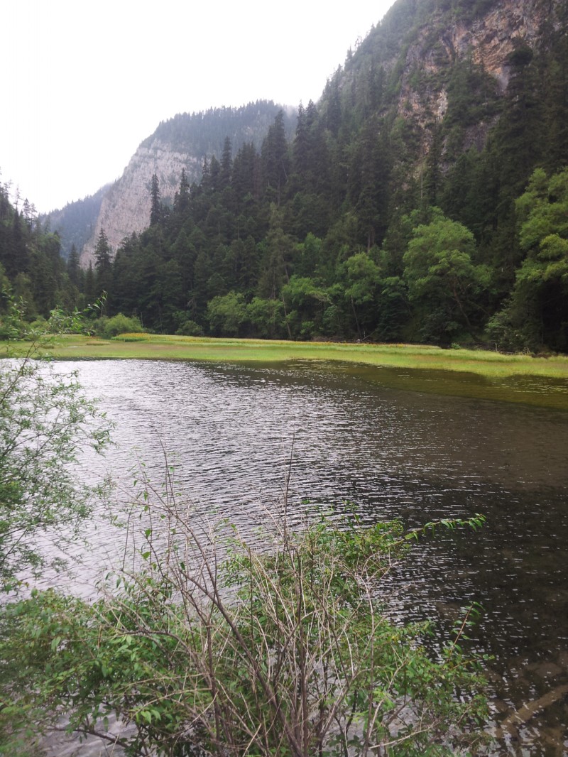 20140731_115319.jpg