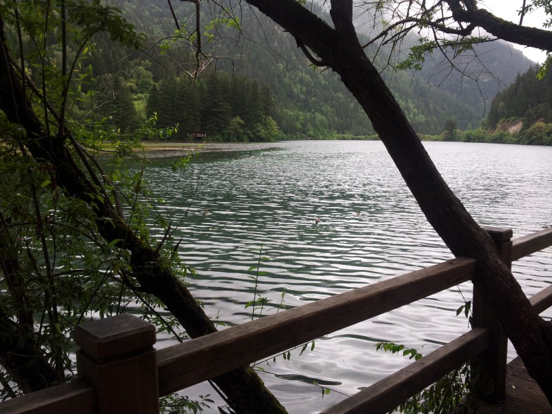 20140731_122555.jpg