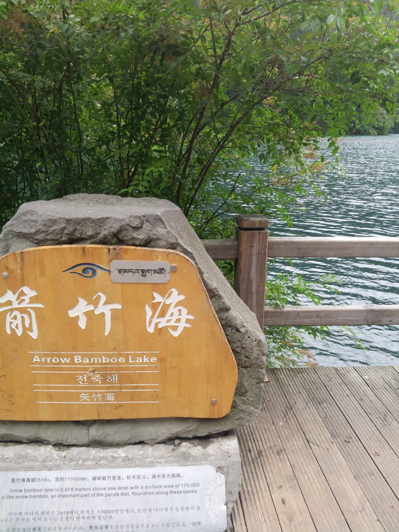 20140731_122709.jpg