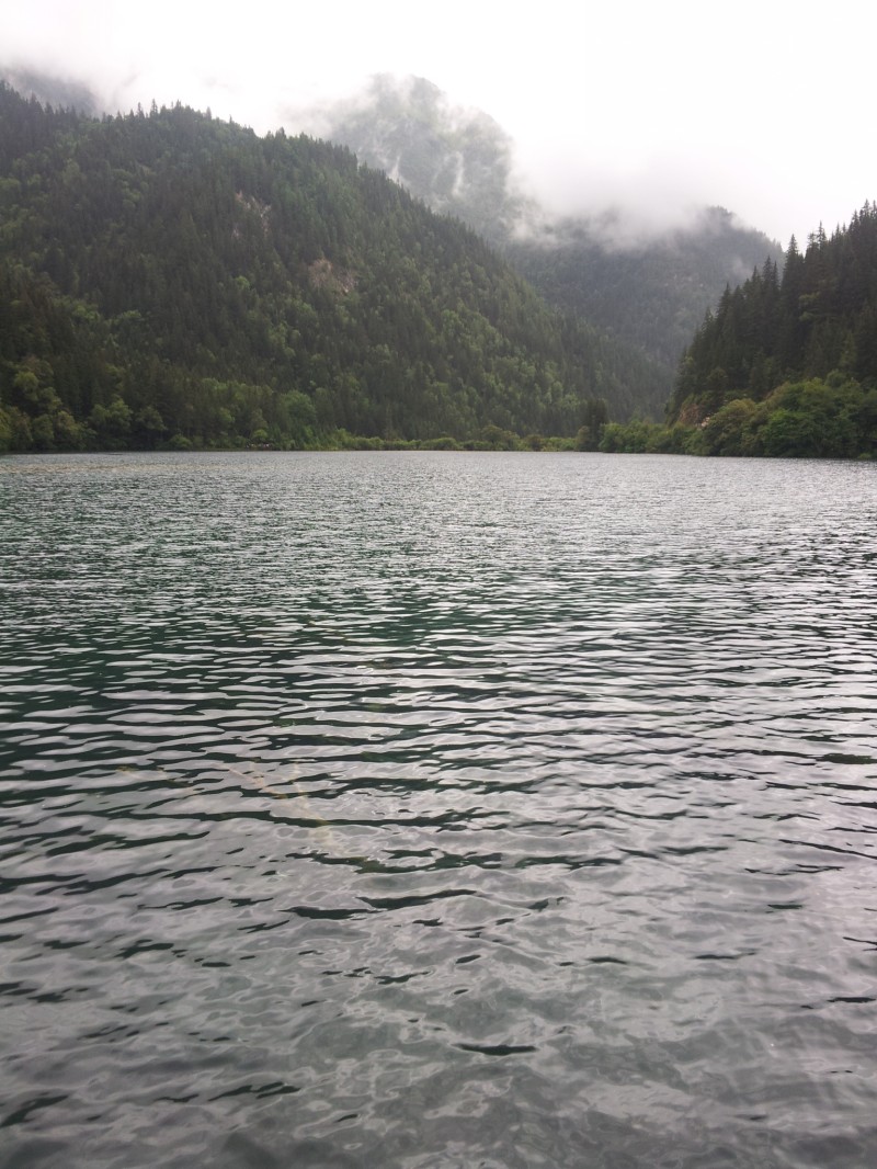 20140731_122748.jpg
