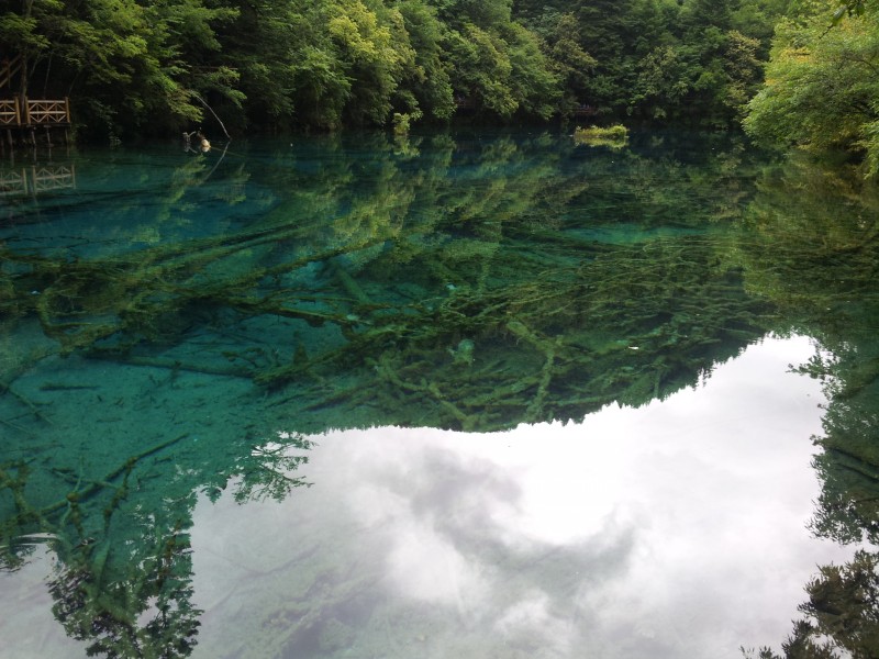 20140731_124913.jpg