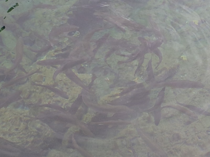 20140731_125010.jpg
