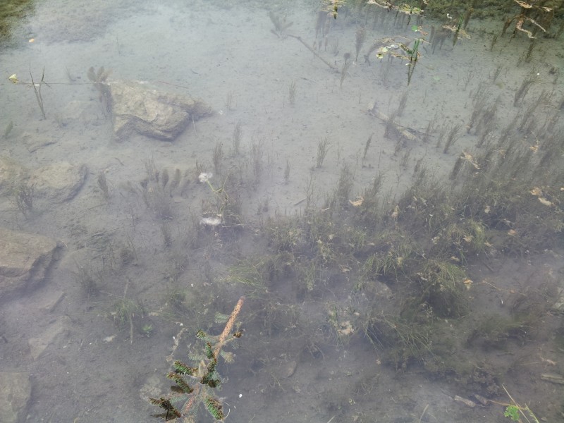20140731_125830.jpg