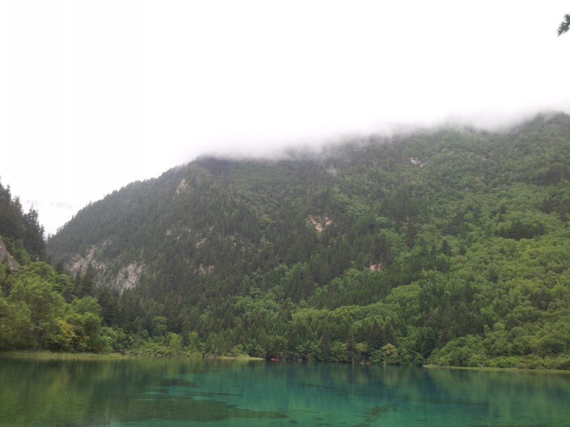 20140731_130233.jpg