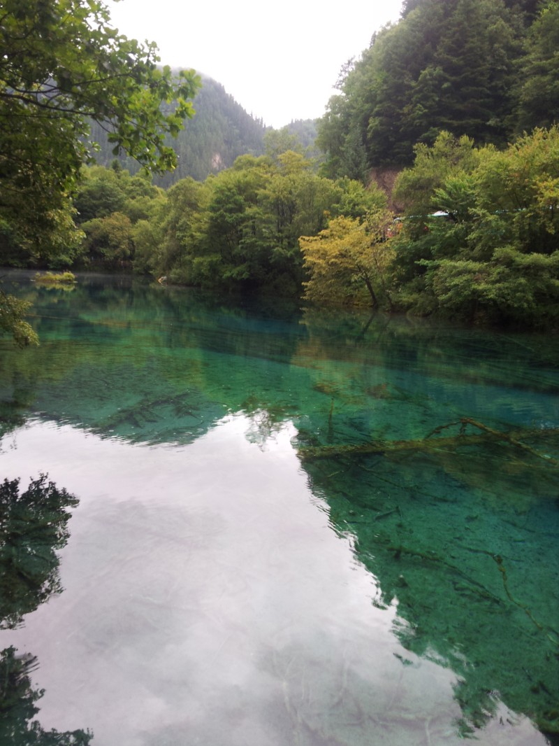 20140731_130719.jpg