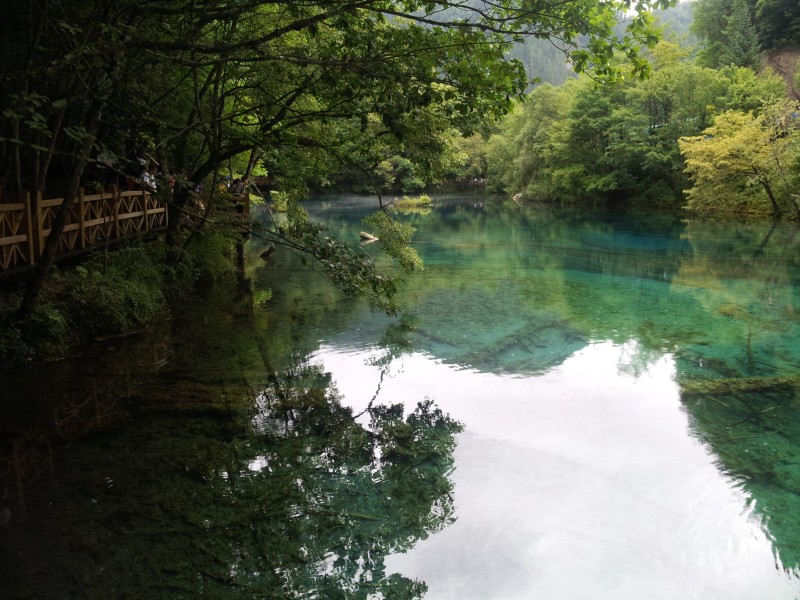 20140731_130748.jpg
