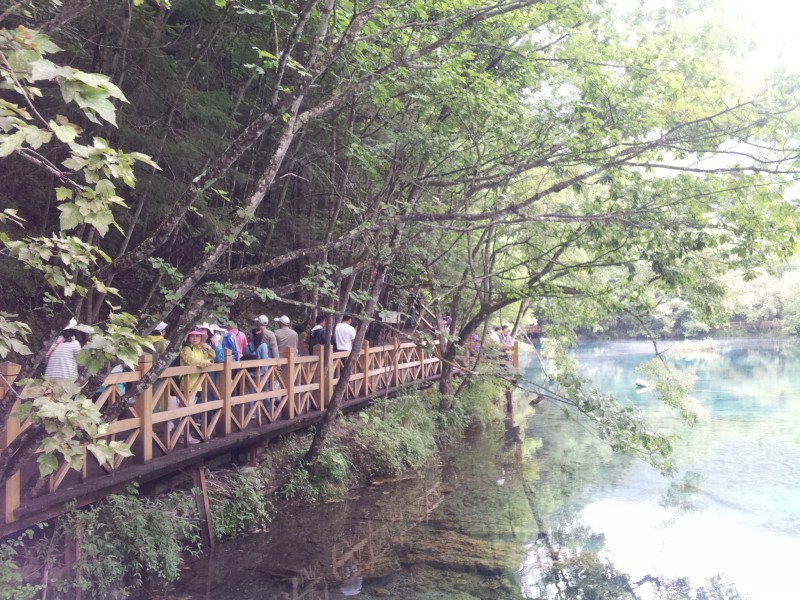 20140731_130800.jpg