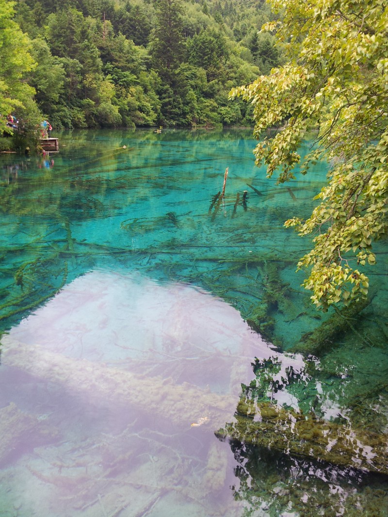 20140731_130842.jpg