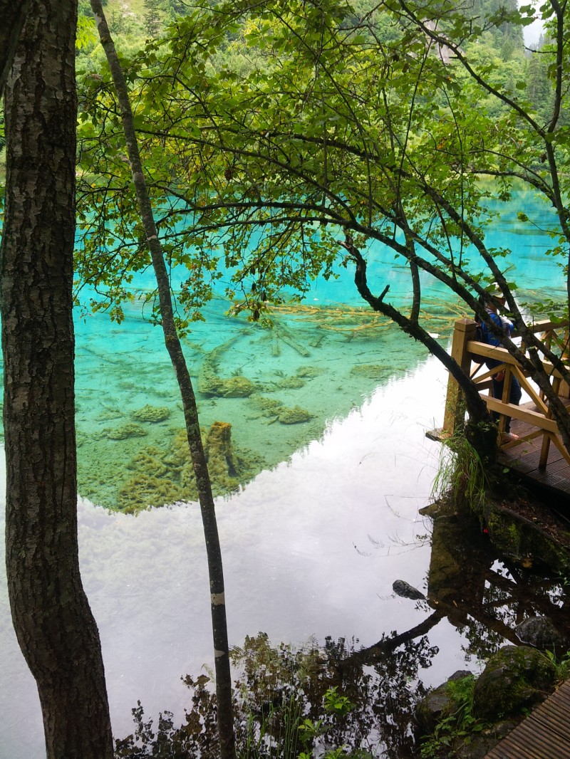 20140731_130949.jpg