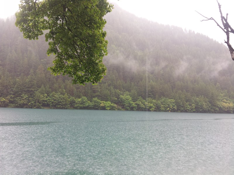 20140731_140907.jpg