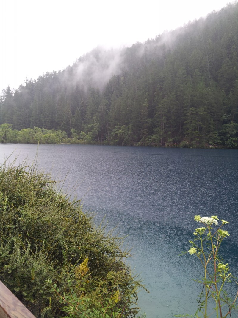 20140731_150847.jpg