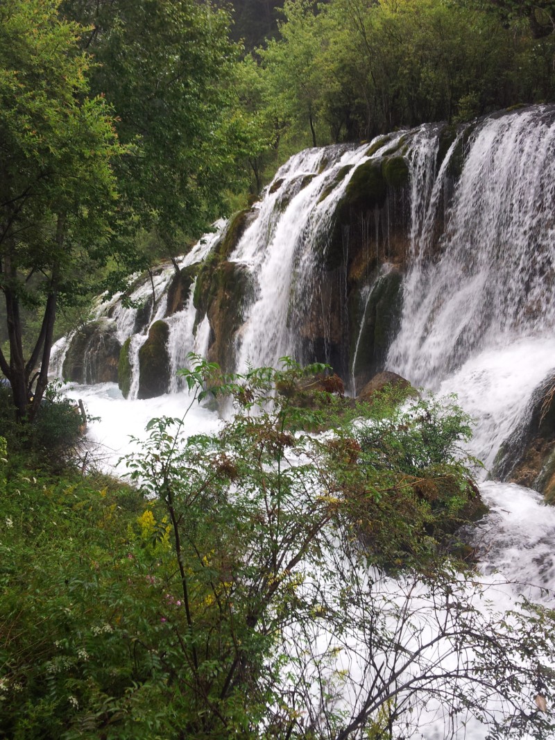 20140731_152159.jpg