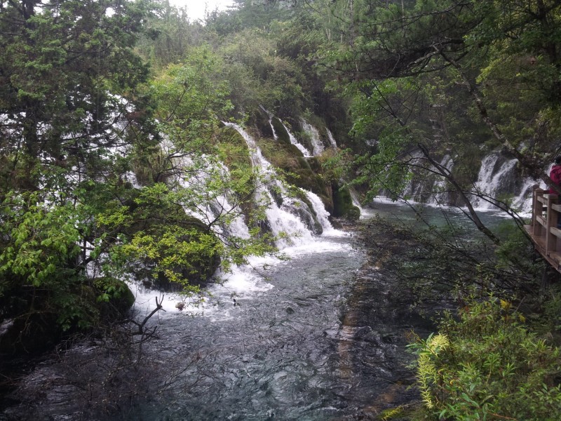 20140731_154126.jpg