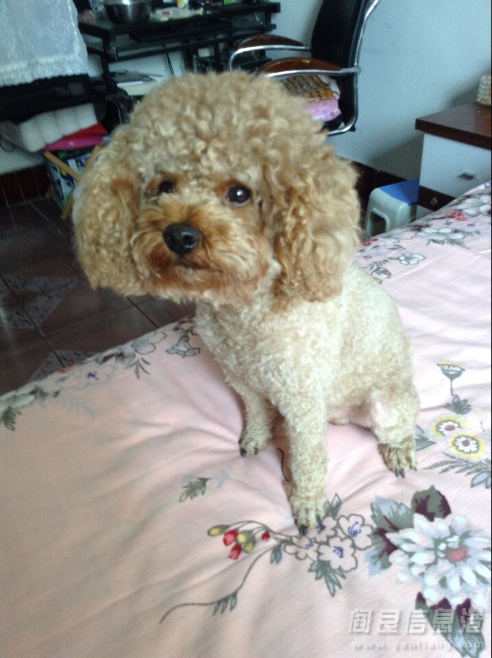 QQͼƬ20140827093426.jpg